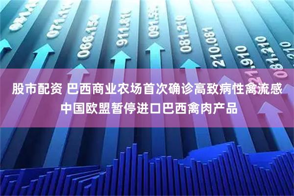 股市配资 巴西商业农场首次确诊高致病性禽流感 中国欧盟暂停进口巴西禽肉产品