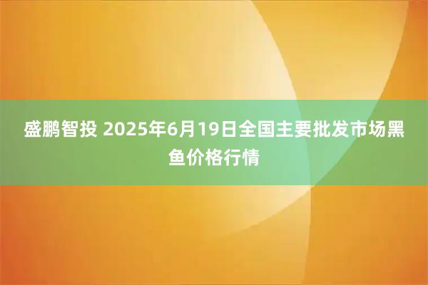 盛鹏智投 2025年6月19日全国主要批发市场黑鱼价格行情
