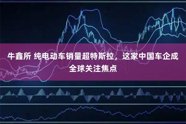 牛鑫所 纯电动车销量超特斯拉，这家中国车企成全球关注焦点
