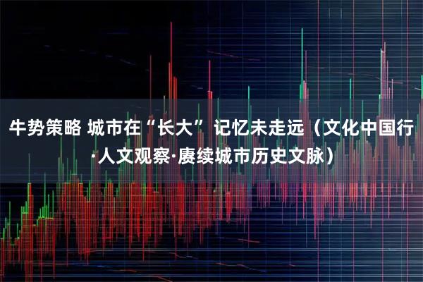 牛势策略 城市在“长大” 记忆未走远（文化中国行·人文观察·赓续城市历史文脉）