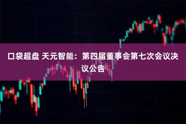 口袋超盘 天元智能：第四届董事会第七次会议决议公告